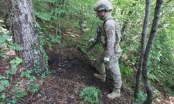 Jandarmadan Amanoslar'da terör örgütüne darbe
