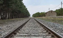 TCDD'den "Tren yollarında otla mücadele için ilaçlama yapılacak" uyarısı