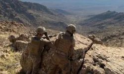 Şırnak'ta bir terörist etkisiz hale getirildi
