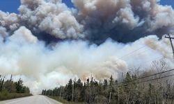 Kanada'da Orman Yangınları 3 Milyon Hektarlık Alanı Etkiledi