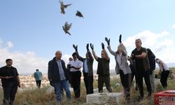 Nevşehir'de 600 kınalı keklik doğaya salındı