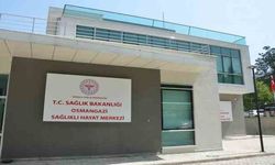 Madde bağımlılığından azmi ile kurtuldu
