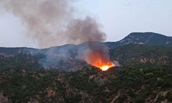 Çorum’da orman yangını