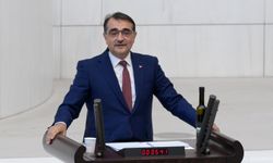 AK Parti'li Dönmez: Eğer derdiniz yeşil olsaydı CHP'li belediyelerin ağaç katliamlarına sessiz kalamazdınız
