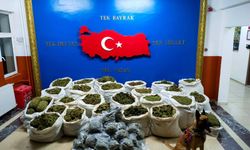 Bingöl'de "Şehit Jandarma Üsteğmen Uğur Tunaboylu Narkoterör Operasyonu"