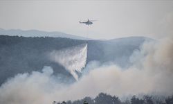 Çanakkale'de iki köy arasında rüzgarla yeniden alevlenen yangına müdahale ediliyor