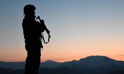 Türkiye'ye girmeye çalışan PKK'lı 2 terörist Suriye sınırında yakalandı