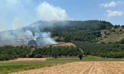 Bursa'da ormanlık alanda çıkan yangın söndürüldü