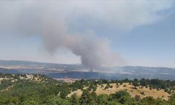 Eskişehir'de ormanlık alanda çıkan yangına müdahale ediliyor