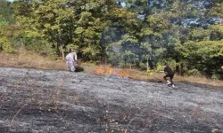 Bilecik’te Otluk Alan'da Çıkan Yangın Ormana Sıçramadan Söndürüldü