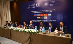 Azerbaycan'ın Guba şehri, "Türk Devletleri Teşkilatı Tarım Başkenti" ilan edildi