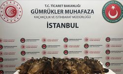 Gümrük Muhafaza ekipleri 1,3 milyon lira değerinde kaçak insan saçı ele geçirdi