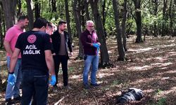 Koli bantlarıyla bağlanmış poşette ölü köpek bulundu