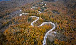 Domaniç Dağları'ndaki kıvrımlı yollar sonbaharın renkleriyle buluştu