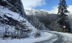 Karadeniz'in yüksek kesimlerine kar yağdı