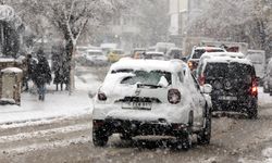 Erzurum, Ardahan, Kars, Ağrı ile Tunceli'de kar ve soğuk hava etkili oluyor