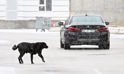 Ankara'da vatandaşlar güne kar yağışı ile uyandı