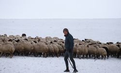 Kars'ta merada kar yağışına yakalanan besiciler zor anlar yaşadı