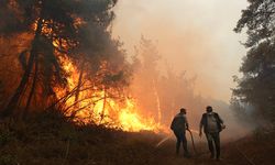Çanakkale'de orman yangınının etkili olduğu alanda sağanak başladı