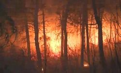 İspanya'nın Valencia bölgesindeki orman yangını nedeniyle 600'den fazla kişi evlerinden tahliye edildi