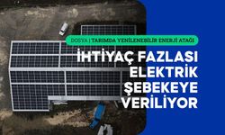 Kastamonu'da sarımsak fabrikasının enerjisi güneşten karşılanıyor