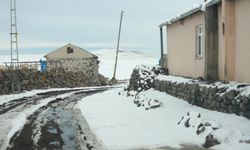 Kars'ta soğuk hava etkili oluyor