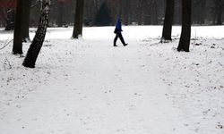 Berlin'de kar yağışı etkili oldu