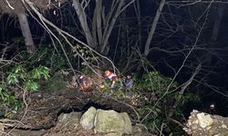 Artvin'de ormanda ağaç keserken uçurumdan düşen kişi hayatını kaybetti
