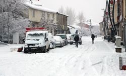 Bingöl'de kar nedeniyle 10 köy yolu ulaşıma kapandı