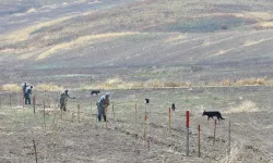 Azerbaycan, işgalin son bulduğu bölgelerde 8 bin 529 mayını etkisiz hâle getirdi