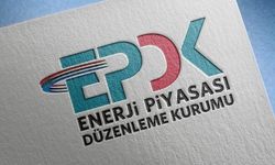 EPDK 20 şirkete lisans verdi