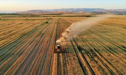 Tarımda üretim planlaması gelecek yıl hayata geçirilecek