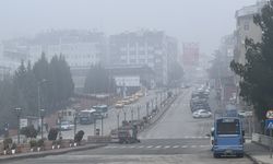 Düzce ve Karabük'te sis etkili oldu