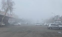 Diyarbakır'da sis etkili oluyor