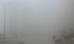 Şırnak'ta sağanak ve sis etkili oldu