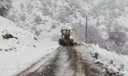 Bingöl, Şırnak ve Siirt'te kar nedeniyle 158 köy yolu ulaşıma kapandı