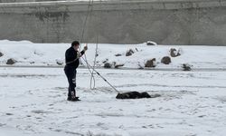 Ağrı'da donan nehirden geçerken kırılan buz tabakasında sıkışan köpek kurtarıldı