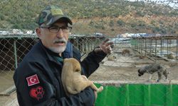 Gaziantep'te depremlerde sahibini kaybeden hayvanlar klasik müzikle terapi ediliyor