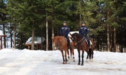 Kartepe'de atlı jandarma timleri göreve başladı