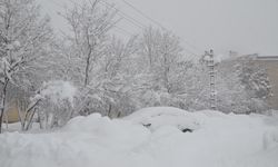 Hakkari'de tek katlı evler ve arabalar karla kaplandı