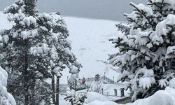 Bolu Dağı ve Abant Gölü Milli Parkı'nda kar yağışı