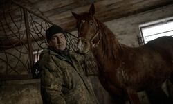 Ukraynalı polisler, Harkiv'de savaş nedeniyle sahipsiz kalan atların bakımını üstleniyor