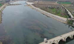 Kış kuraklığı yaşanan Edirne'de Meriç ve Tunca nehirleri düşük seviyede akıyor