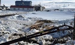 Ardahan'da kar ve tipinin ardından hasar tespit ile temizlik çalışması yapılıyor