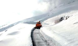 Şırnak'ta 2 bin 230 rakımlı Tanin Geçidi'nde 1 metreyi bulan karlı yol temizlendi