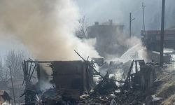 Tokat'ta bir köyde çıkan yangında 3 ev kullanılamaz hale geldi
