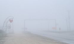 Kırklareli'nde yoğun sis etkili oluyor