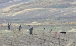 Azerbaycan, kurtarılan bölgeleri mayınlardan temizliyor