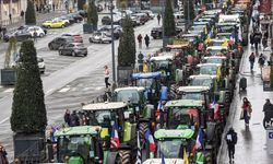 Çiftçilerin protestosu Fransa ve İspanya arasında "domates" tartışmasına neden oldu