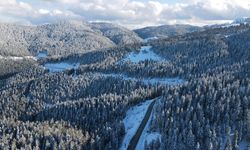 Karla kaplanan Ilgaz Dağı'ndaki orman dron ile görüntülendi